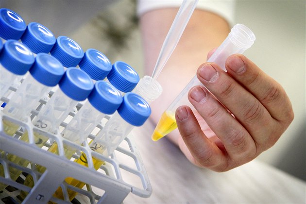 Naděje pro děti se vzácným kožním onemocněním: na výzkum jde miliarda