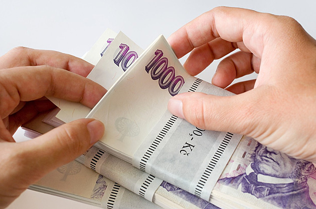 PŘEHLEDNĚ: Co se stane, pokud se Česko ocitne v rozpočtovém provizoriu