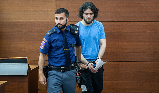 Za zapálení baru platí 18 let vězení, žháři už zbývá jedině ústavní stížnost