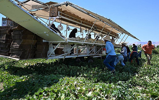 Američané migranty nenahradí. Nad farmami se smráká, změny jsou v nedohlednu