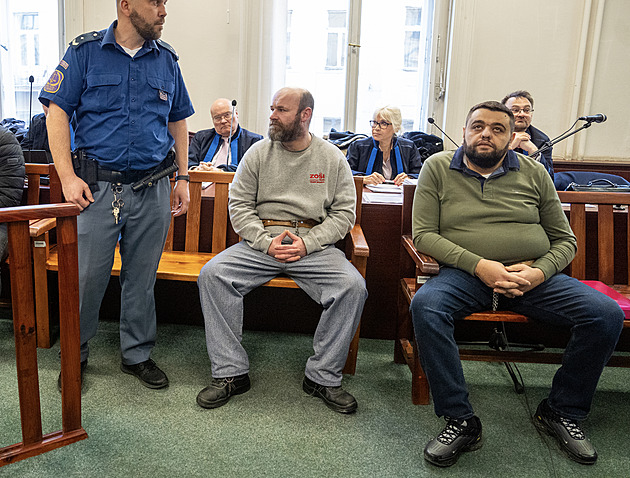 Za pohřbení muže v parku a plánování další vraždy padly výjimečné tresty