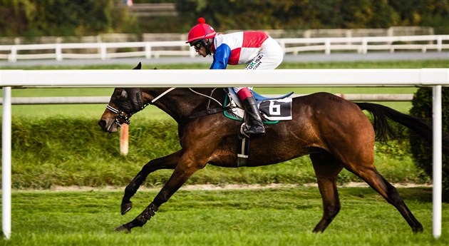 Tradice dostihů ohrožena. Areál v Chuchli se nedohodl se státem na nájmu