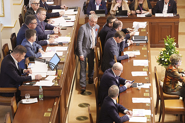 Sněmovna potvrzuje šéfy výborů, jako jediní nemají žádného Piráti
