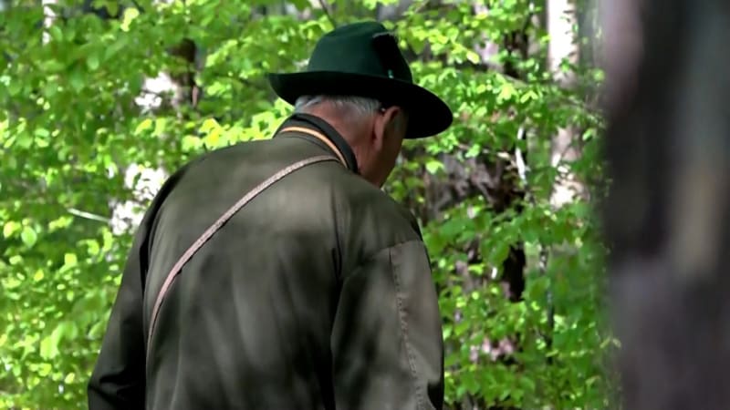 Myslivec mířil kulovnicí na jelena, do hlavy však střelil kolegu. Policie odhalila první detaily