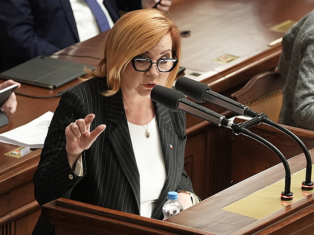 Brněnské ANO neposlechlo Schillerovou, zůstává v koalici. Rebelům hrozí vyloučení