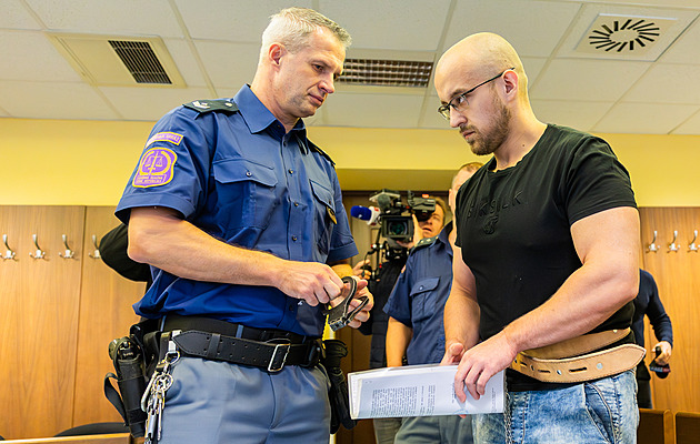 Prostitutku zardousil a posypal žíravinou, přesto vrah uspěl s žádostí o nižší trest