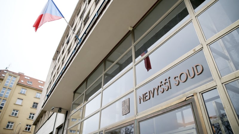 Rizikový domácí porod skončil smrtí dítěte. Trest pro matku nyní potvrdil i Nejvyšší soud