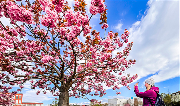 Tři dny skoro léto a pak změna. Může začít sněžit, varují meteorologové