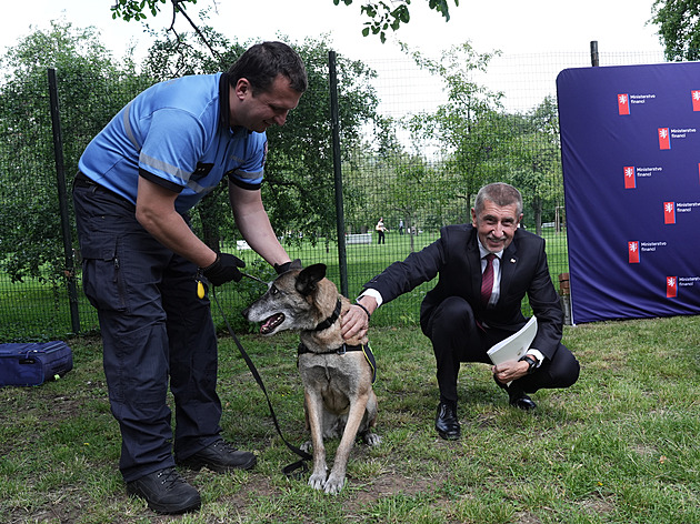 Babiš jde proti kratomu. Bude ho možné koupit až od 21 let, už ne na internetu